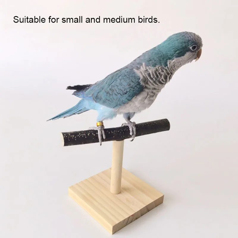 Natural Desktop Stand Pet Parr - Desk Setup Wood のレビューと価格